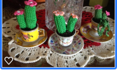 cactus in tazzina