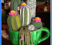 cactus in tazza